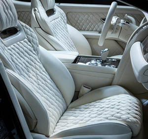 Luxury Car Seats